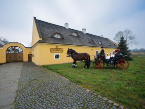Dvůr Olšiny -Hotel and Horse-riding, Karviná